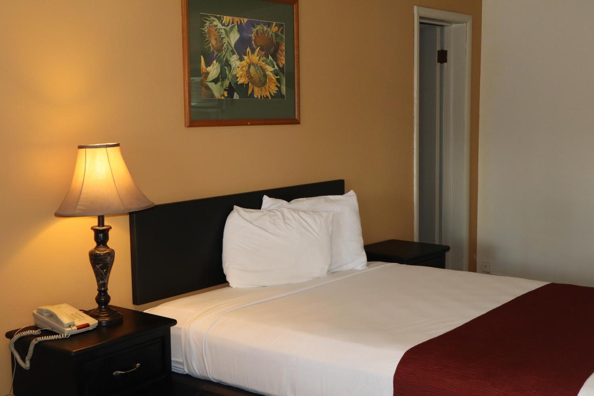 Black Canyon Motel Montrose Extérieur photo